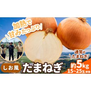 ふるさと納税 笠岡市 しお風 たまねぎ 5kg 大きさ不揃い《6月上旬-6月末頃出荷》岡山県 笠岡市