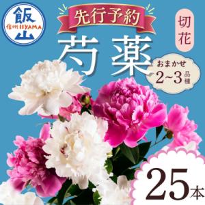 ふるさと納税 飯山市 【先行予約】芍薬 切花 おまかせ2〜3品種 25本セット | 木内ファーム