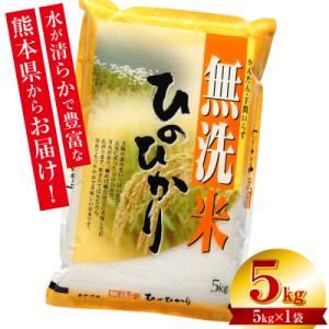 ふるさと納税 八代市 【令和7年産】 熊本県産 無洗米 熊本ひのひかり 5kg (5kg×1袋)_132-5123-B
