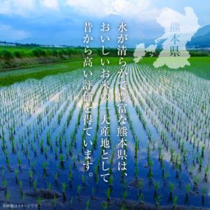 ふるさと納税 八代市 先行予約 R8年産 熊本...の詳細画像1