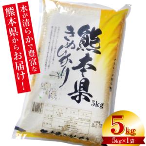 ふるさと納税 八代市 【令和7年産】  熊本県産 きぬひかり 5kg(5kg×1袋)_132-6730