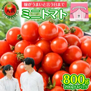 ふるさと納税 八代市 先行予約 嫁がうまいと言う日まで 800g 2026年12月上旬より発送_16...