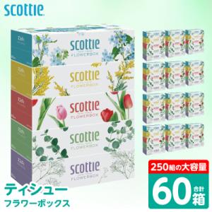 ふるさと納税 八代市 ティッシュ 250組 60箱  フラワーボックス 日用品 スコッティ_186-6354