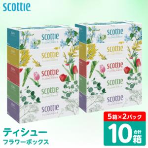 ふるさと納税 八代市 ティッシュ 250組 10箱 フラワーボックス 日用品 スコッティ_186-6424