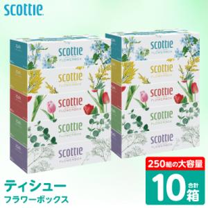 ふるさと納税 八代市 ティッシュ 250組 10箱 フラワーボックス  日用品 スコッティ_186-...