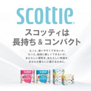 ふるさと納税 八代市 ティッシュ 250組 1...の詳細画像1