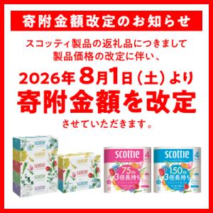 ふるさと納税 八代市 ティッシュ 250組 3...の詳細画像1