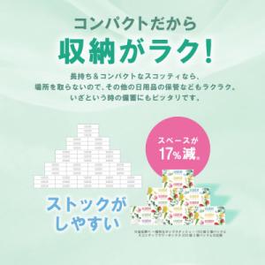 ふるさと納税 八代市 ティッシュ 250組 3...の詳細画像3