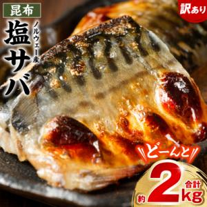 ふるさと納税 八代市 【訳あり】昆布塩サバ 合計約2kg 鯖 さば_045-6524-A