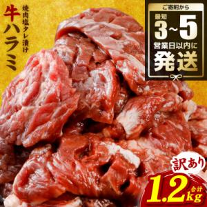 ふるさと納税 八代市 【令和8年熊本地震復興支援】訳あり 牛ハラミ焼肉 1.2kg(300g×4P)_233-6028-A