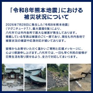 ふるさと納税 八代市 【令和8年熊本地震復興支...の詳細画像1