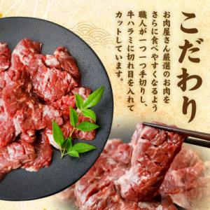 ふるさと納税 八代市 【令和8年熊本地震復興支...の詳細画像2
