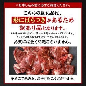 ふるさと納税 八代市 【令和8年熊本地震復興支...の詳細画像3
