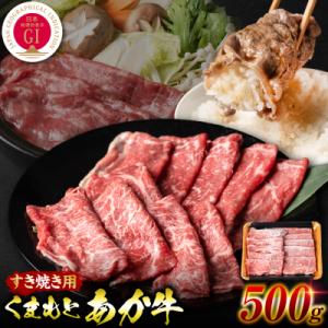 ふるさと納税 八代市 【GI認証】 くまもとあか牛 すき焼き用 500g_289-7020