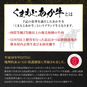 ふるさと納税 八代市 【GI認証】 くまもとあ...の詳細画像1