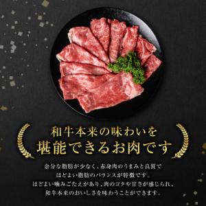 ふるさと納税 八代市 【GI認証】 くまもとあ...の詳細画像2