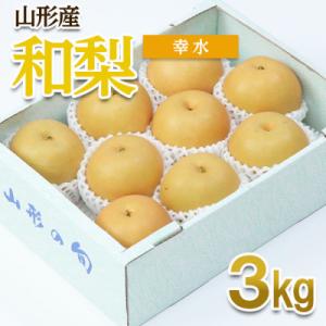 ふるさと納税 山形市 山形産 和梨(幸水) 秀 3kg(6〜12玉) 【令和8年産】FU22-012