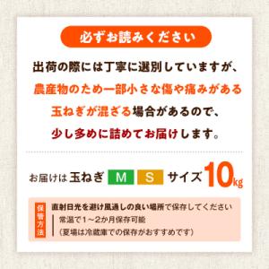 ふるさと納税 津別町 R8年産 玉ねぎ (M玉...の詳細画像3