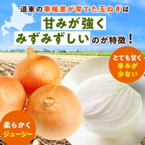ふるさと納税 津別町 R8年産 玉ねぎ (L玉...の詳細画像1