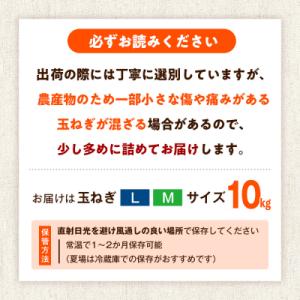 ふるさと納税 津別町 R8年産 玉ねぎ (L玉...の詳細画像3