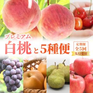 ふるさと納税 大江町 《先行受付》プレミアム白桃と5種便【定期便全5回】 060-T12