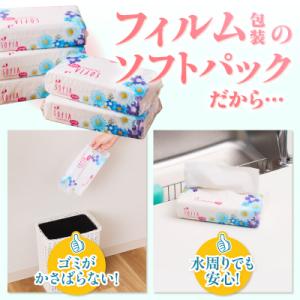 ふるさと納税 富士市 100パック!! ソフト...の詳細画像1