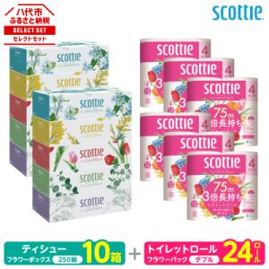 ふるさと納税 八代市 ティッシュ 250組10箱 + トイレットペーパー ダブル 24ロール スコッティ_186-6554
