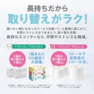 ふるさと納税 八代市 ティッシュ 250組10...の詳細画像2