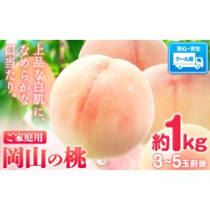ふるさと納税 笠岡市 【2027年発送】 岡山の桃 約1kg《2027年6月下旬〜9月上旬頃出荷》岡山県 笠岡市 白桃