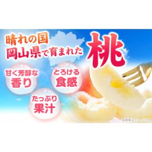 ふるさと納税 笠岡市 【2027年発送】 岡山...の詳細画像1