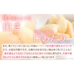 ふるさと納税 笠岡市 【2027年発送】 岡山...の詳細画像2
