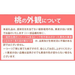 ふるさと納税 笠岡市 【2027年発送】 岡山...の詳細画像3