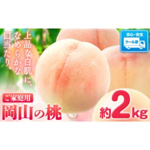 ふるさと納税 笠岡市 まだ間に合う今年発送!岡山の桃 約2kg《2026年6月下旬〜9月上旬頃出荷》岡山県 笠岡市 白桃