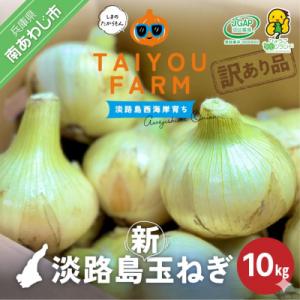 ふるさと納税 南あわじ市 訳あり品　淡路島産新玉ねぎ 10kg　◆配送2月〜5月