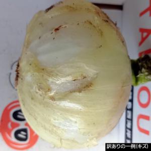 ふるさと納税 南あわじ市 【完熟玉ねぎ予約】訳...の詳細画像1
