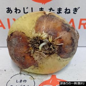 ふるさと納税 南あわじ市 【完熟玉ねぎ予約】訳...の詳細画像2