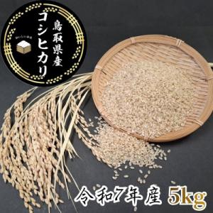 ふるさと納税 八頭町 鳥取県産「ひとめぼれ」玄米5kg(令和7年産)
