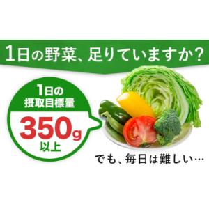 ふるさと納税 日高町 1日分の野菜 200ml 24本 株式会社北海道伊藤園《7-14日以内に出荷予...