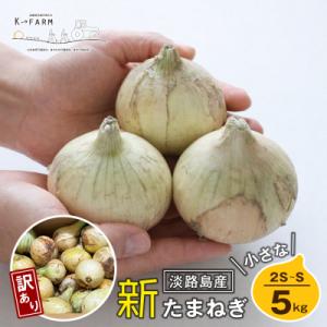 ふるさと納税 淡路市 【訳あり】【新たまねぎ】小さな淡路島たまねぎ 2S〜Sサイズ 5kg　ak04040
