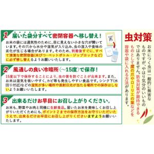 ふるさと納税 氷川町 ひごみのり 無洗米 熊本...の詳細画像3