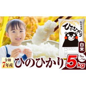 ふるさと納税 氷川町 令和7年産 ひのひかり 白米 熊本県産 5kg《7-14日以内に出荷予定(土日祝除く)》