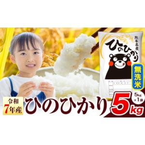 ふるさと納税 氷川町 令和7年産 ひのひかり 無洗米 熊本県産 5kg《7-14日以内に出荷予定(土日祝除く)》