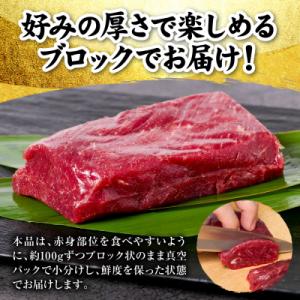 ふるさと納税 八代市 国産 熊本肥育 赤身 馬...の詳細画像2