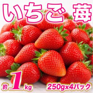 ふるさと納税 八代市 【先行予約】いちご約1kg(約250g×4)【2027年1月上旬より順次発送】...