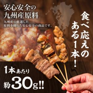 ふるさと納税 八代市 九州産 焼き鳥 セット ...の詳細画像1