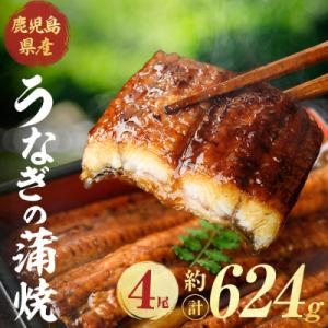 ふるさと納税 曽於市 鹿児島県産うなぎ蒲焼(約156g×4尾)