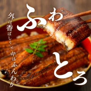 ふるさと納税 曽於市 鹿児島県産うなぎ蒲焼(約...の詳細画像2