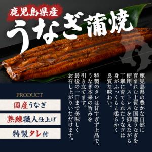 ふるさと納税 曽於市 鹿児島県産うなぎ蒲焼(約...の詳細画像3