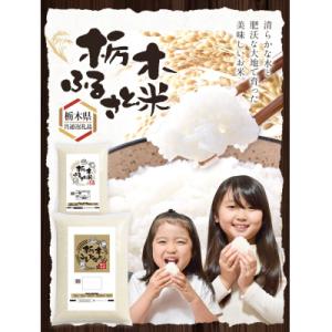 ふるさと納税 野木町 栃木ふるさと米 無洗米5kg《7-14日以内に出荷予定(土日祝除く)》
