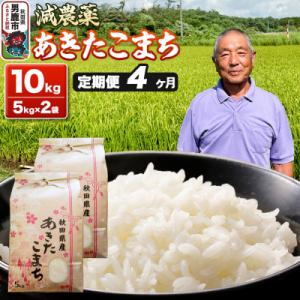 ふるさと納税 男鹿市 あきたこまち 10kg(5kg×2袋) 令和7年産 【定期便4ヶ月】 米|23_fjk-011004